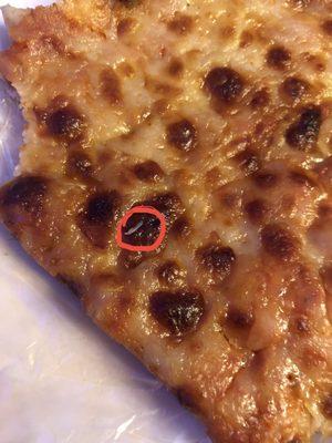 FINGER NAIL CLIPPING ON PIZZA