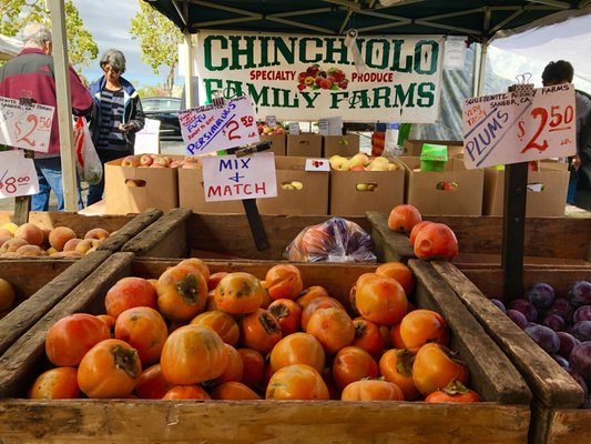 Chinchiolo Family Farms