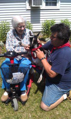 Fun with goats