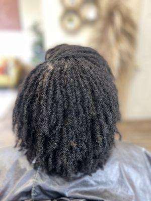 Microlocs twists