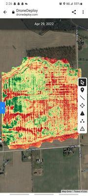 NDVI Map