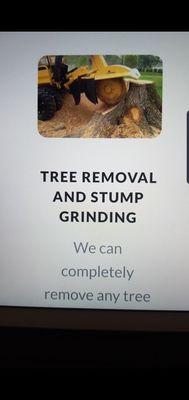 Tree service