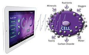 PEMF Improves Oxygenation & Uptake of Nutients & Enhances Detox.