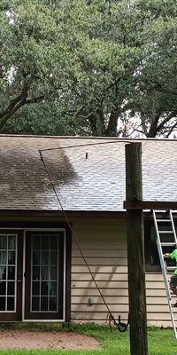 Shingle roof cleaning