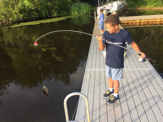 My boys fishing for blue gill and sun fish. Please leave the place clean.