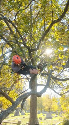 Even when we're not at your house working in your tree's, we're out here improving our skills in the tree on our days off!