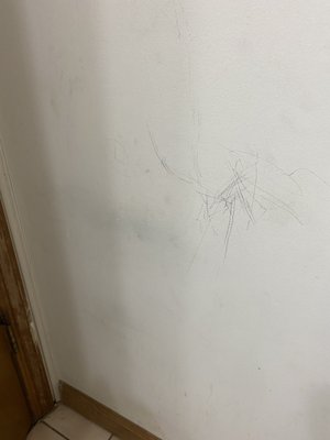 Pencil drawings on bathroom walls