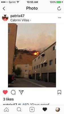 La Tuna Fire 9/2017. LAFD saved the day and put out the fire before it reached the properties.