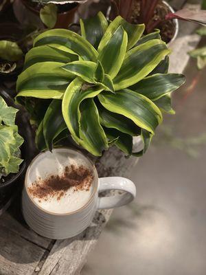 Coffee + Plants