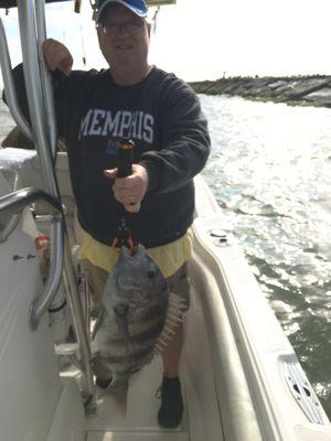 Another sheepshead- we hit the limit!