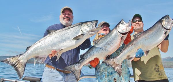 three fat sitka kings