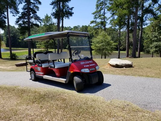 6 Passenger EZGO