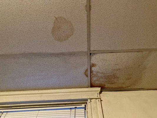 Lovely mold on ceilings constantly because the radiators from above leak nonstop. :) So cool! Definitely not a health hazard!