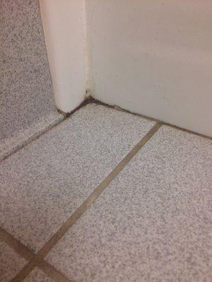 White grout gone awry?