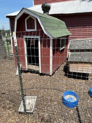 Chicken coop