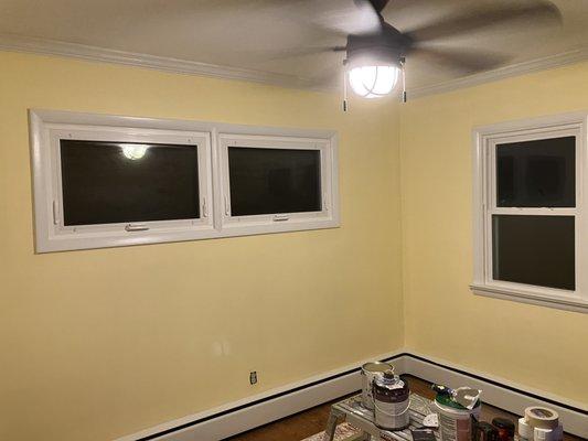 Trim/ crown molding/ painting