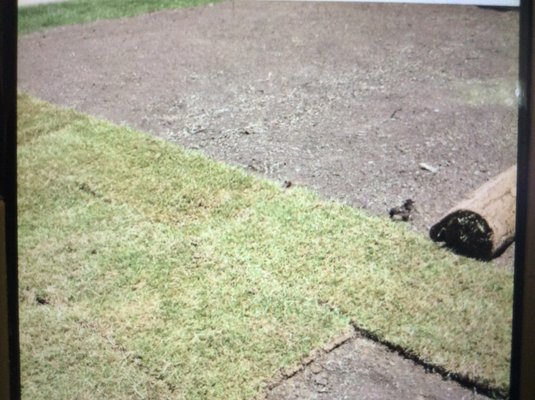 After leveling the soil, laying sod in a checkerboard pattern.