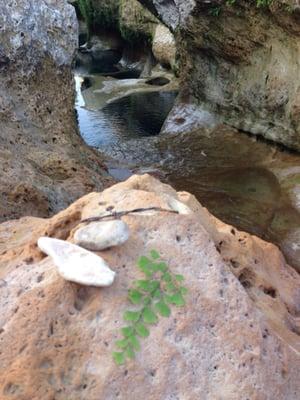 Where is this rock and barbedwire?