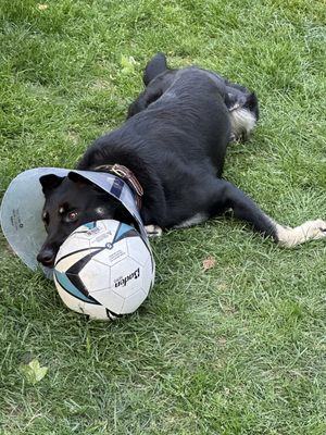 Riley's soccer ball