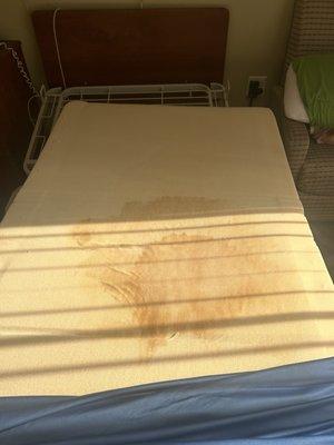 Wet bed full or urine leaked thru the plastic mattress cover.