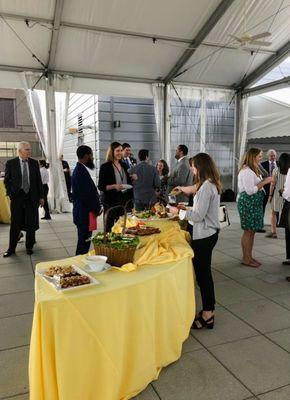 South rooftop terrace reception