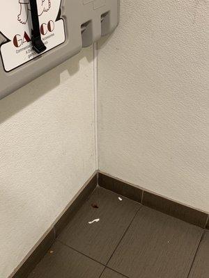 Cockroach in restroom