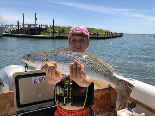 Peconic Bay Weakfish