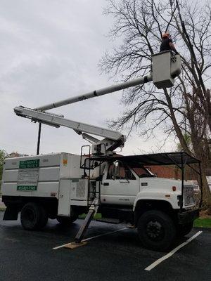 Bucket truck for hazardous dead removals.