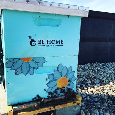 Our beehive when it was first installed by Bee Downtown.  It has increased in size quite a bit!