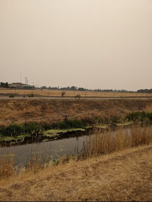 Marsh Creek on a smoky day with golden brown fields