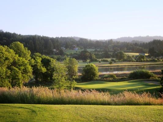 14th Hole par 3.