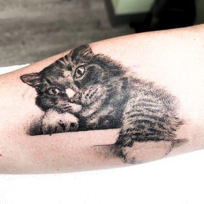 Memorial Cat portrait. 
 Tattoo Artist: Jen Beirola
Rocky Shores Tattoo Company
Middletown, Rhode Island.