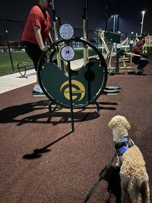 Work out area