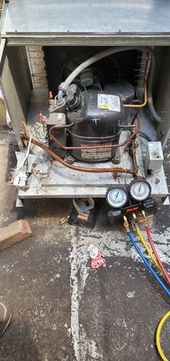 Walk-in cooler compressor getting diagnosed