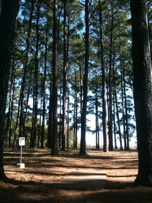 Brahan Spring Disc Golf Course