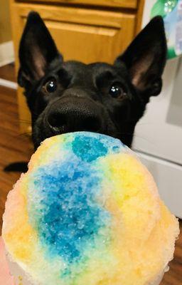 Artie’s Shave Ice