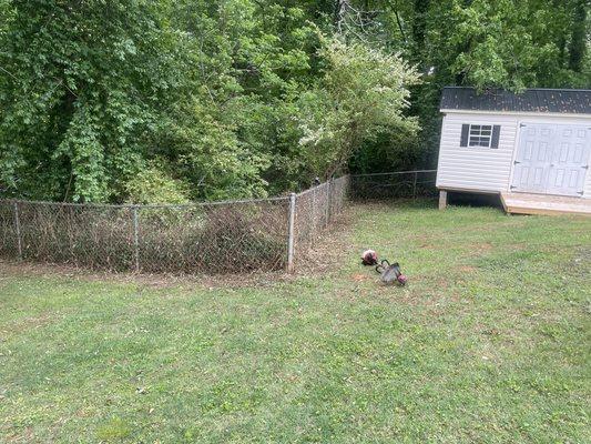 Is your wood line crossed against your fence? Get it trimmed today! Give us a call! Get your free quote today!