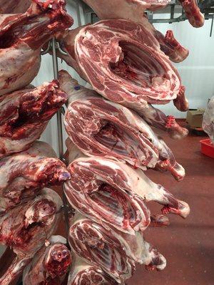 Fresh lamb shoulders!  Make shoulder steaks, chops, stew or a roast!  Perfect every time.