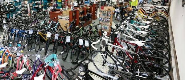 ECBS literally has something for everyone. And if they don't have it in stock can usually get most bikes/parts in 2-3 days!