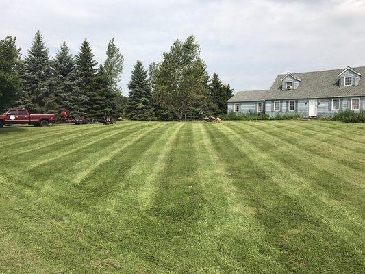 Clean Cut Lawn Care