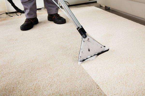 Glendale Carpet Cleaning by Shawn