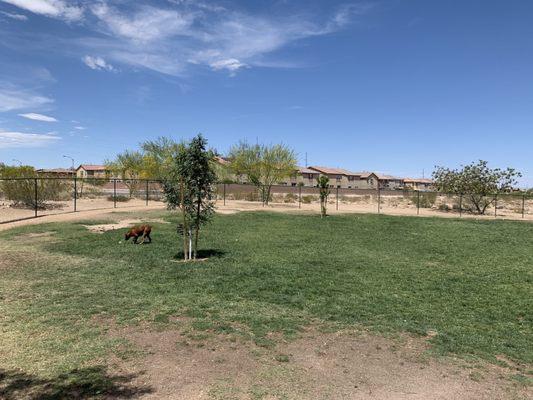 I'd hit this park up in the cooler months. The trek to get inside the dog area can be harmful to a dogs paws.