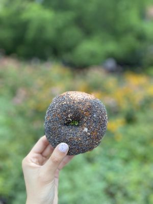 Poppy Bagel