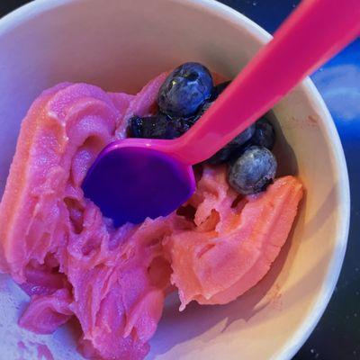 Watermelon Sorbet Yogurts & Ice Cream Cup Flavors with Blueberries