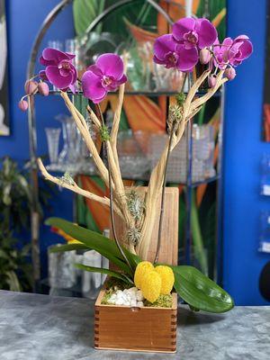 Orchid arrangement on trunk in wooden box