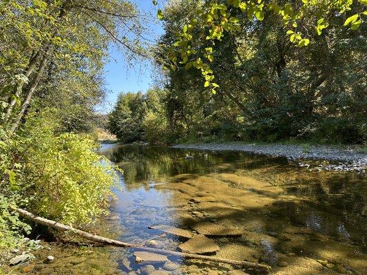 Upper Bidwell Park in Chico.  Early October 2023.