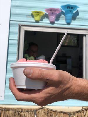 Coconut raspberry ice cream