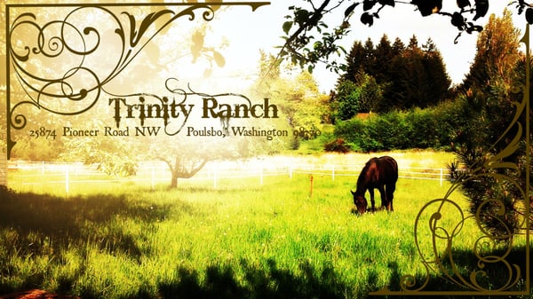 Trinity Ranch