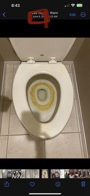 Really you cleaned the property but what left the dirty crusty toilet...