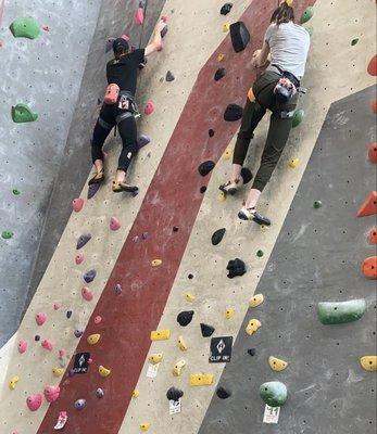 One of the Auto belay walls with varying degrees of difficulty.